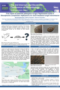 Poster_20_03.pdf