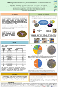 Poster_ECA2021__Soares et al..pdf