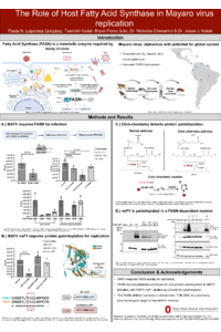 Paola Loperena Poster Viruses 2026 conference final version.pdf