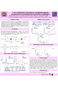 PósterNanoimanes_2024 BOARINI MB.pdf