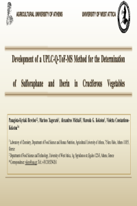 056770.pdf