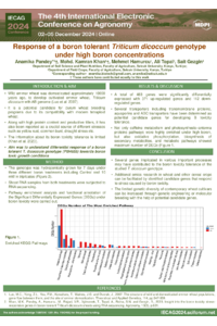 AP IECAG Poster.pdf