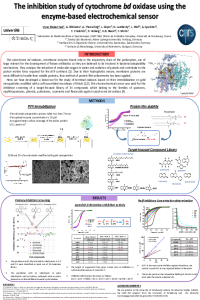 Poster_Sensors 2021_Makarchuk.pdf