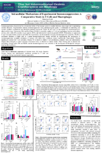 confposter(1).pdf