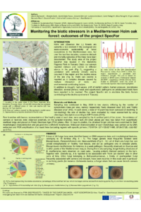 sciforum-099741_Alberto Bernacchi.pdf