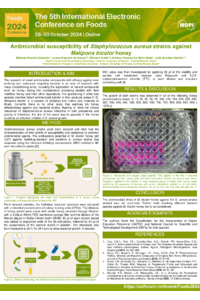 poster_barbara.pdf
