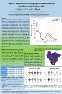 sciforum-058179-Poster.pdf
