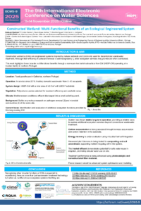 ECWS Poster_Adetunji.pdf