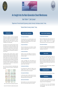 068971_Poster Presentation.pdf