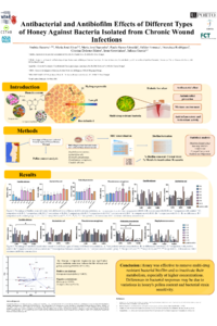 ECM2023_Andrea Bezerra_POSTER.pdf