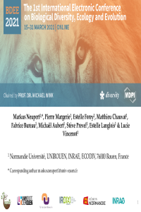 Neupert et al - The best of both worlds - presentation.pdf