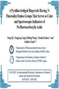 Poster(sciforum-046502).pdf