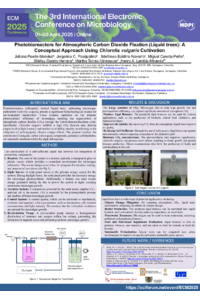 ECM_2025_poster.pdf