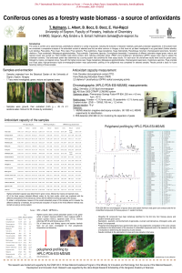 Poszter_IECF 2020_Hofmann et al..pdf