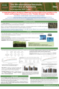 sciforum-125777.pdf