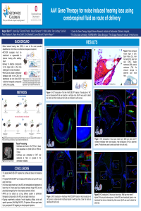 Brain Sciences 2020 Poster - NIHL.pdf