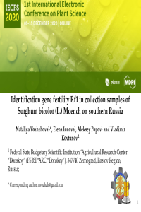 Vozhzhova - IECPS 2020 Presentation.pdf