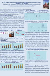 sciforum-058066-Poster.pdf