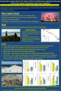 Woch_Rosa_poster.pdf