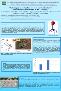 De Giglio.pdf