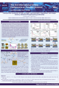 IOCPS2025-sciforum-135100.pdf