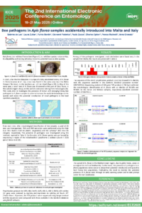 Poster IECE 2025_finale.pdf