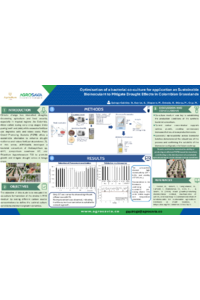 sciforum-136891 Ginna_Quiroga.pdf