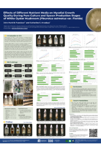 SciForum 134812.pdf