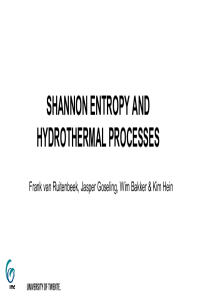 van Ruitenbeek et al. - Entropy 2021.pdf