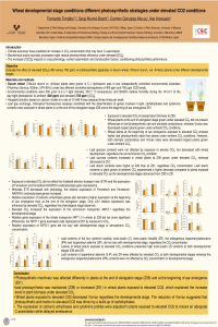 054171 Wheat developmental stage conditions different photosynthetic strategies under elevated CO2 conditions.pdf