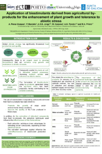POster_IECAG_AnaP.pdf