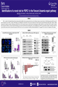 sciforum-041418.pdf