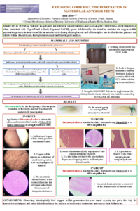 Final version_Poster Meto Aida_November 23.pdf