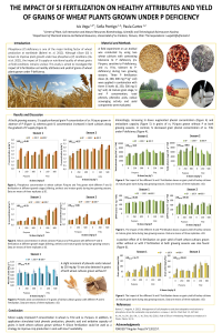 poster-sciforum-043895.pdf