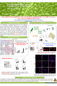 IOCE 2026 Poster Teresa Chianese.pdf
