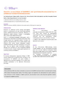 Poster Yersiniabactin.pdf