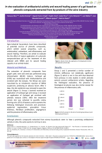 Silva et al ECMC 2020.pdf
