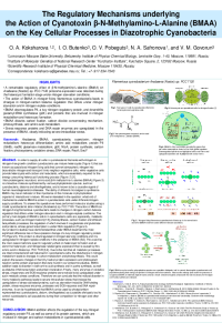 Koksharova et al 2021__ (Poster).pdf