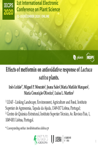 Presentation_Ines Leitao_EConference.pdf