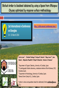 ece-1_Biofuel similar to Biodiesel Obtained Presentation_Luna et al.pdf