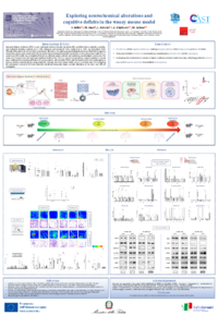 ASEC2025_FB.pdf