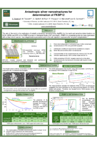 Poster_ Bartolini Cosimo_definitivo.pdf