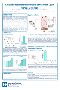 Poster_Bassini.pdf