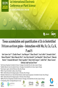 Presentation Plants_Luís et al.pdf