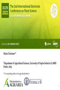 IECPS 2021_Maria Giordano_University of Naples, Italy.pdf