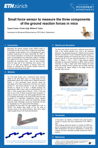 sciforum-029518poster .pdf
