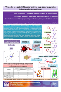 9th-ECMC_Poster_Garaev.pdf