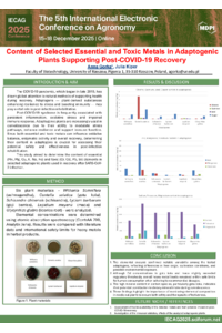 Poster IECAG 2025.pdf
