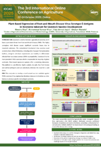 sciforum-132617_IOCAG2025.pdf