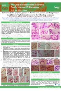 sciforum-111237_Yesmin.pdf